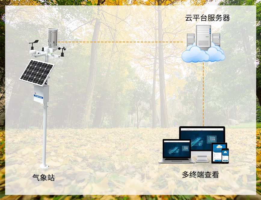 进入秋冬季森林防火期,森林防火需要哪些气象信息