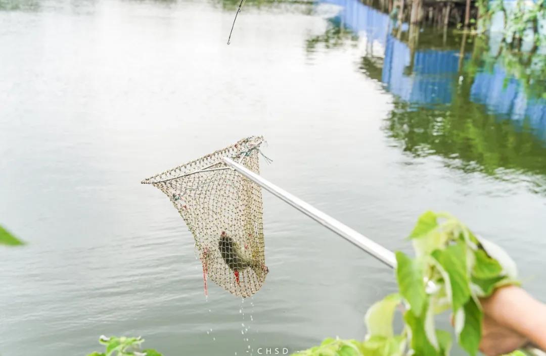 口碑最好的农庄老店,本地人带路