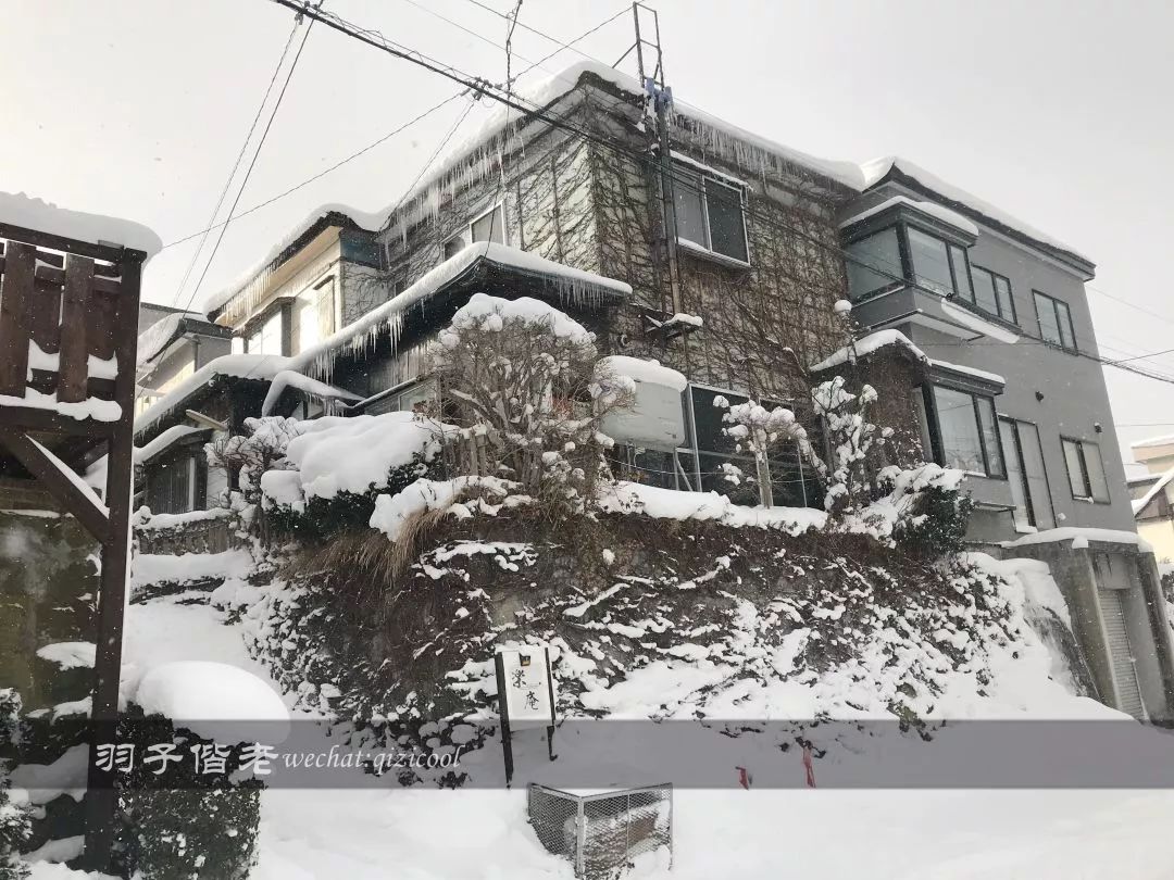 不会日语日本自由行好吗,不会日语的北海道自由行攻略