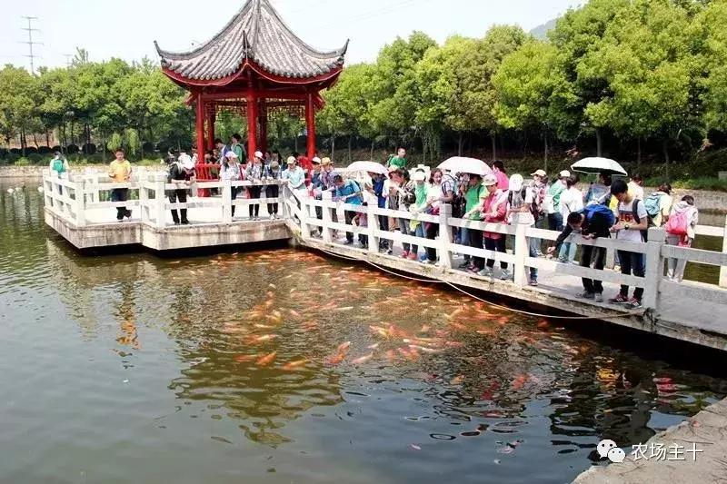 大龄休闲农庄有哪些,做休闲农庄必须考虑的几个问题