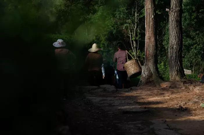 武夷山亲子民宿推荐独栋别墅,武夷山风景区民宿推荐价格表