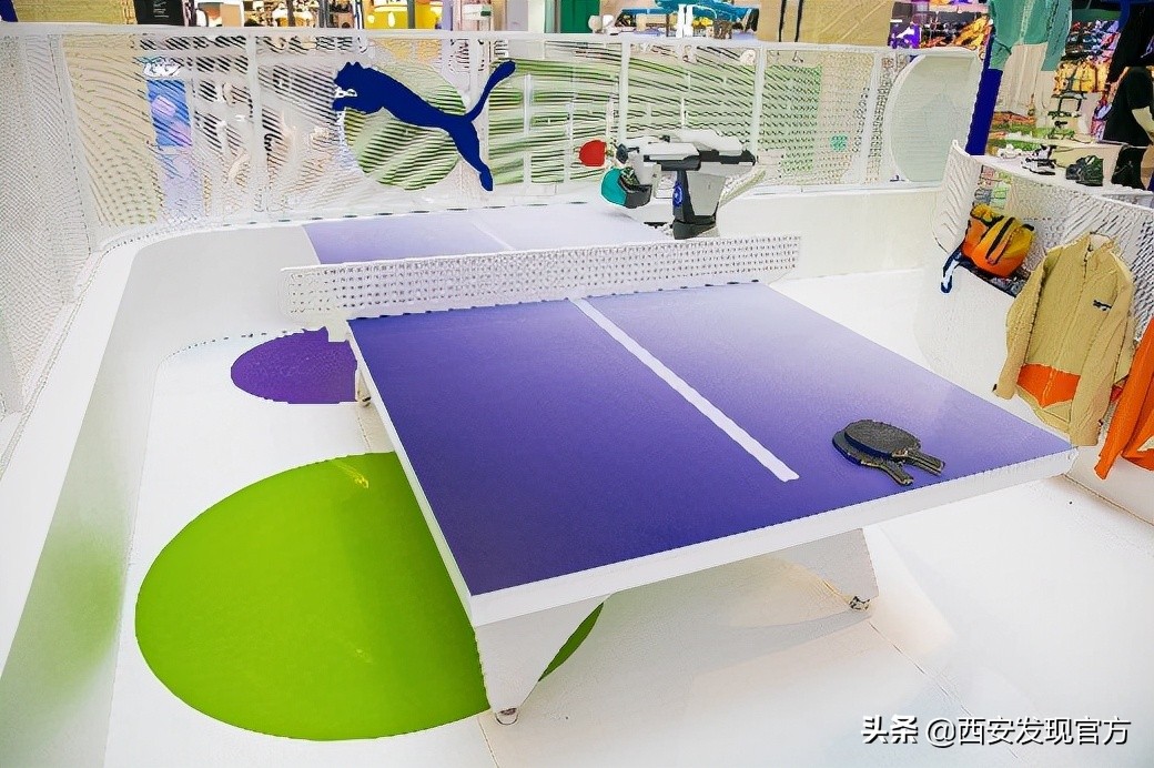 pumaroaringwild绯诲垪,pumaxroaringwild鑱斿悕