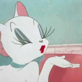 新手小白化妆有什么会踩雷的,新手小白化妆必买什么