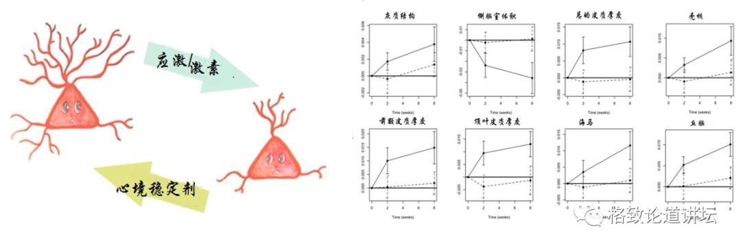 躁郁症误诊率,怎么判断得了躁郁症
