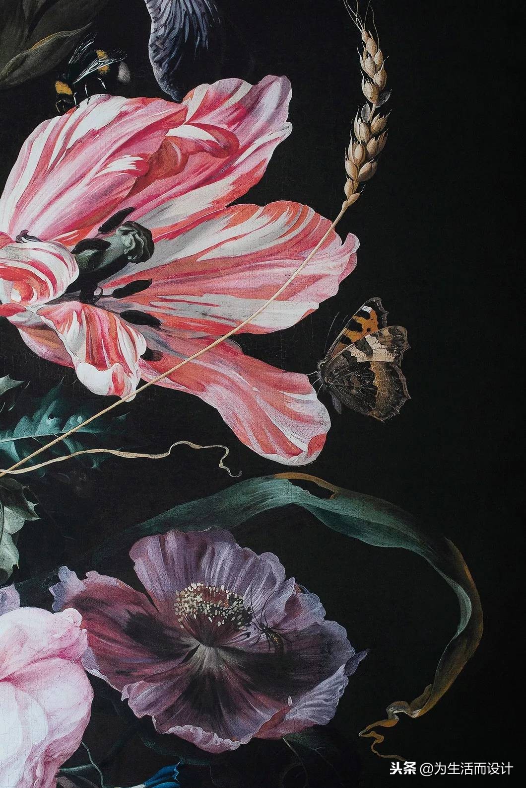 分享案例：一室花开，自由妙曼