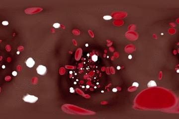 浣犵殑韬綋鍒板簳闀夸粈涔堟牱,浣犵煡閬撲綘鐨勮韩浣撻暱鍟ユ牱瀛愬悧