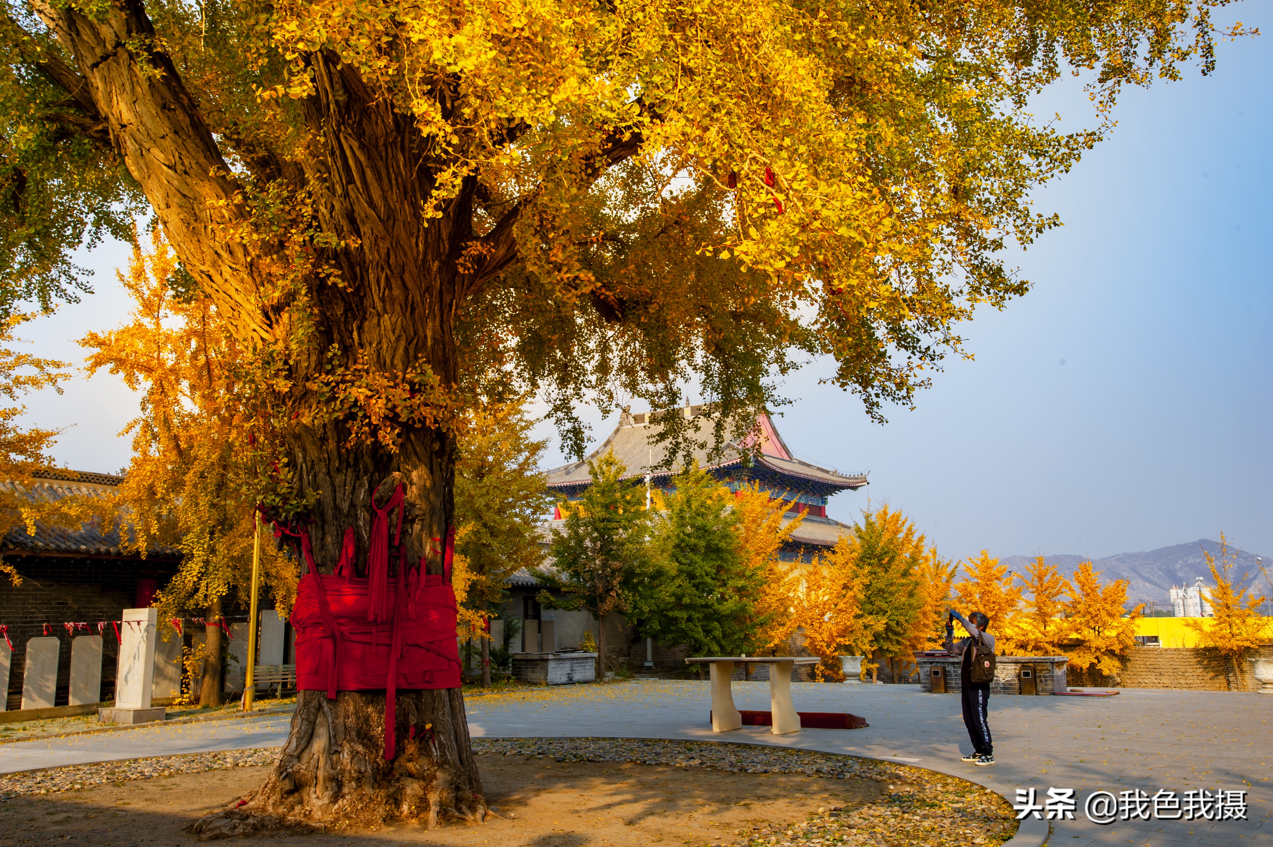 尼康D700加金广角PK佳能R5加16-35F4，微单不微