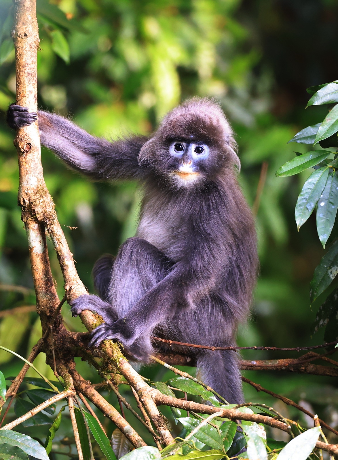 eosr5拍鸟体验,eosr5摄影与视频拍摄技巧大全