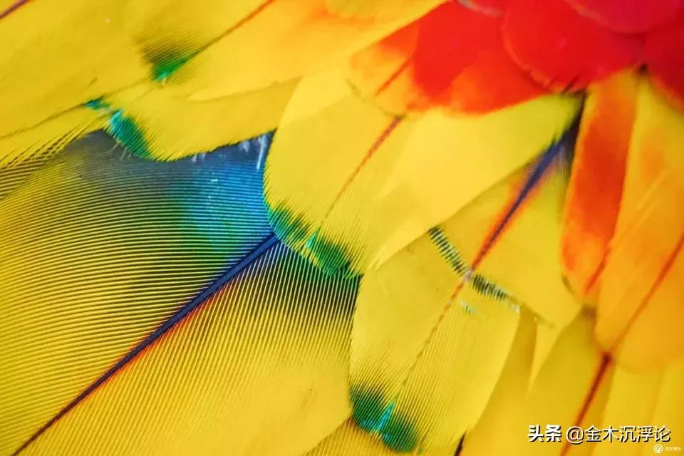 闲聊一下新款iMac和它的macOS