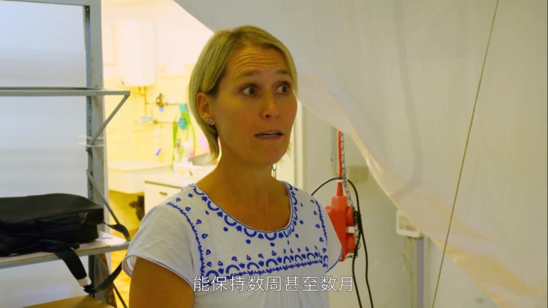 被“青春伤痛文学”冤枉了十几年，金鱼：我的记忆真的不止7秒