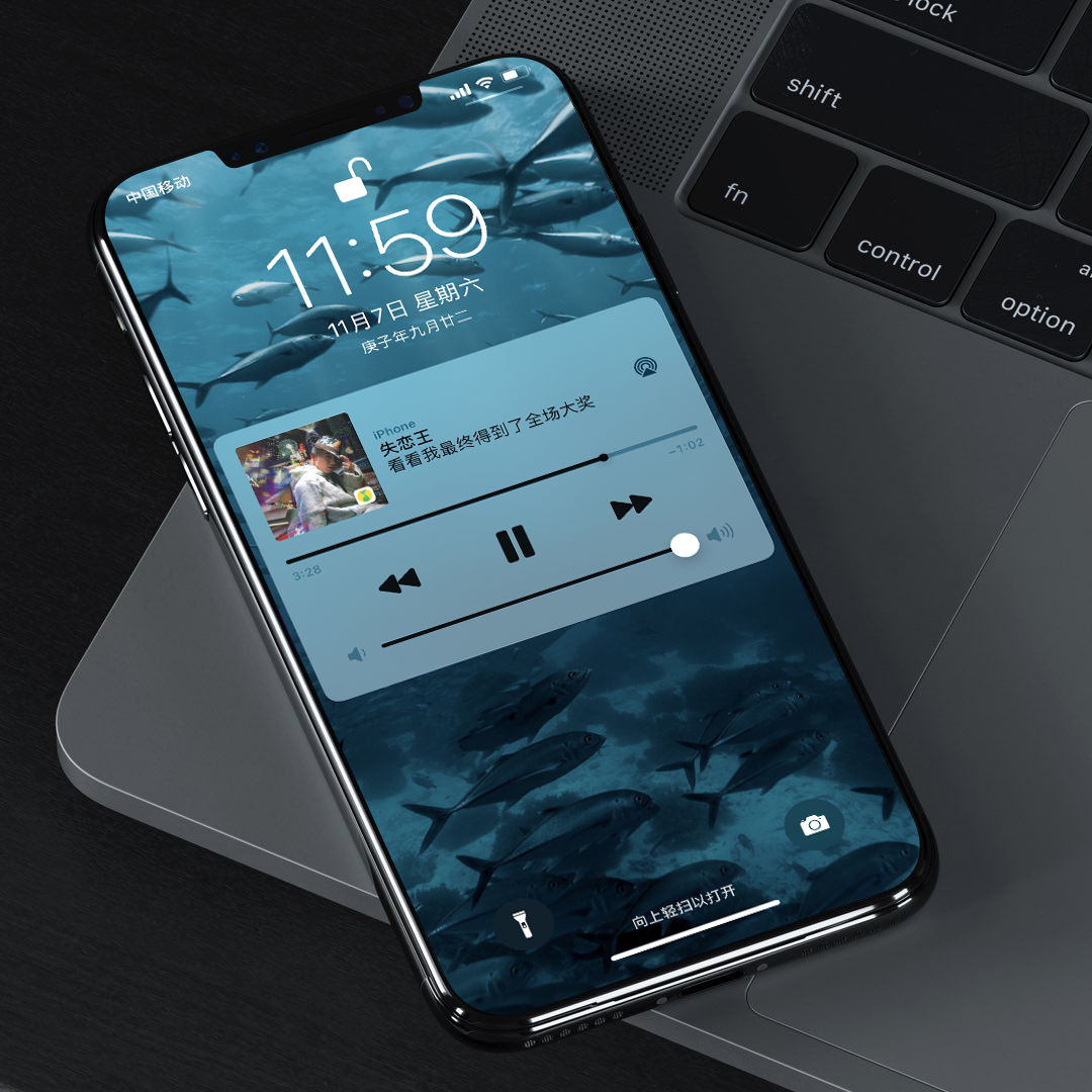 花鸟壁纸动物壁纸,动物壁纸高清手机壁纸