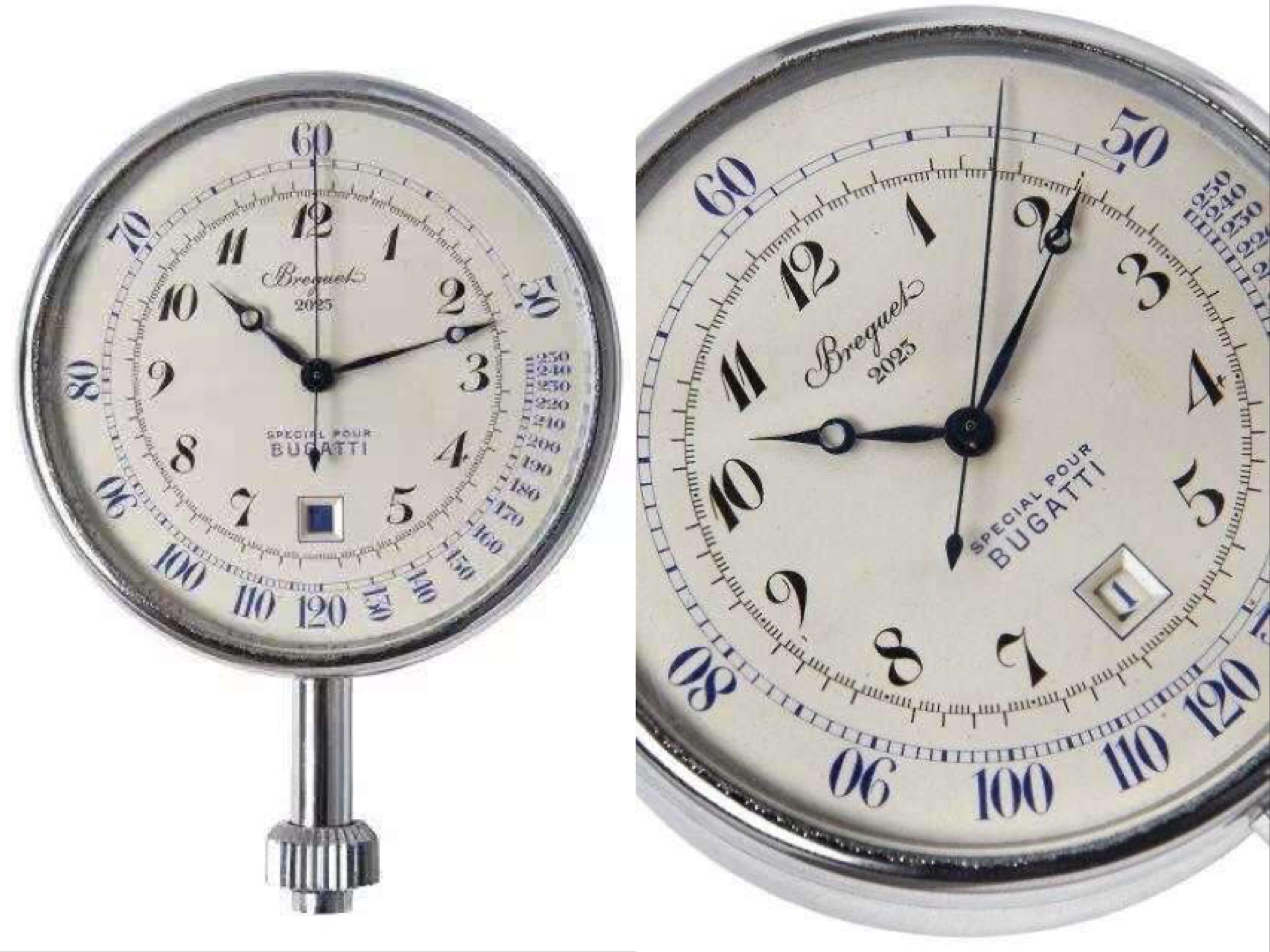 百里鸽是什么鸽,百里鸽是什么鸽图片