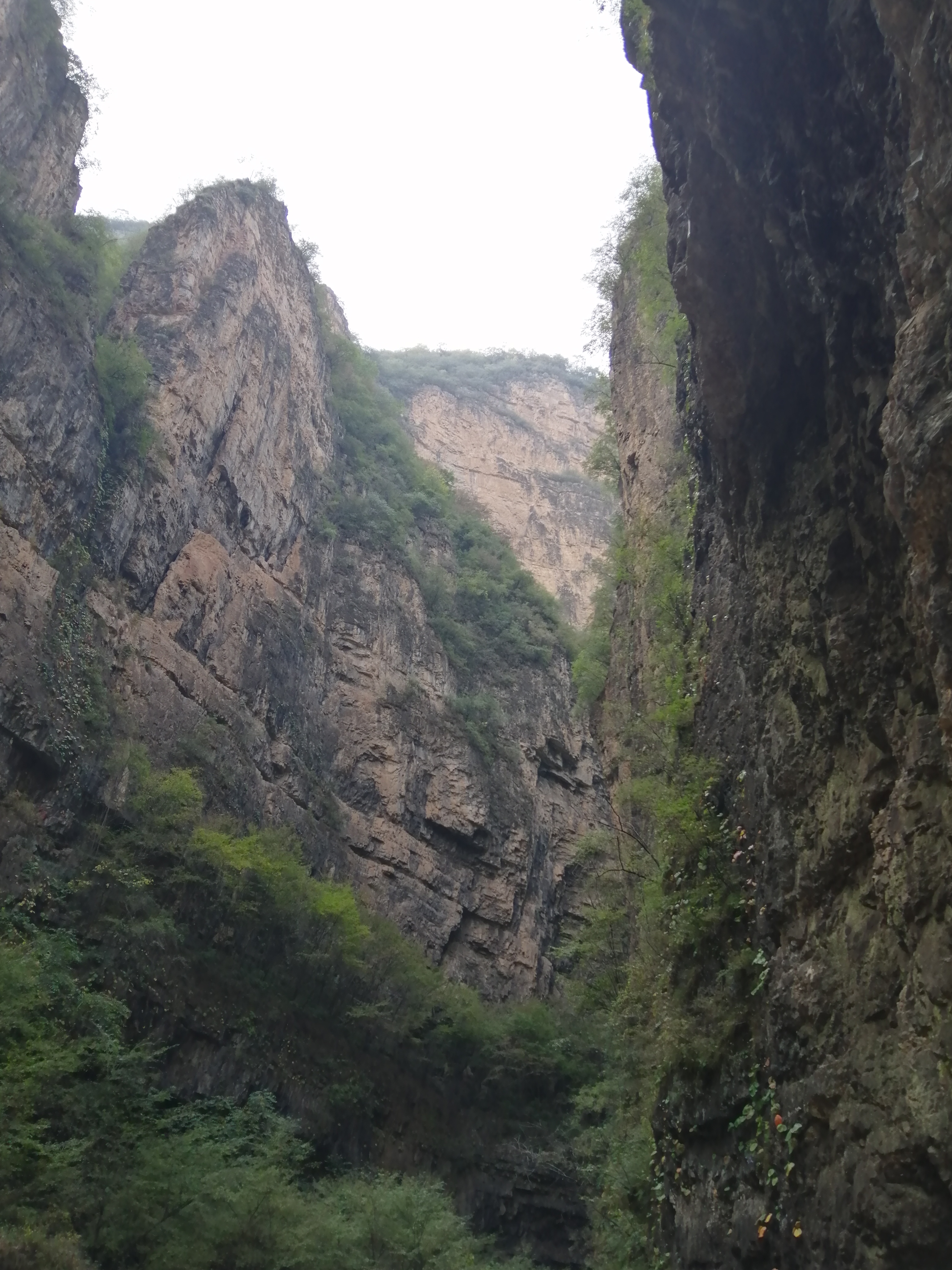 中国人去阿联酋做什么工作,80后小伙在埃及开罗