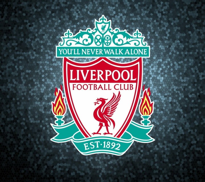 30支篮球队球标,各足球队队徽图片