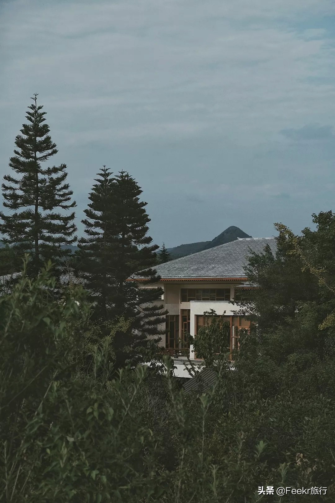 <html>
<head><title>502BadGateway</title></head>
<body>
<center><h1>502BadGateway</h1></center>
<hr><center>nginx</center>
</body>
</html>
<!--apaddingtodisableMSIEandChromefriendlyerrorpage-->
<!--apaddingtodisableMSIEandChromefriendlyerrorpage-->
<!--apaddingtodisableMSIEandChromefriendlyerrorpage-->
<!--apaddingtodisableMSIEandChromefriendlyerrorpage-->
<!--apaddingtodisableMSIEandChromefriendlyerrorpage-->
<!--apaddingtodisableMSIEandChromefriendlyerrorpage-->
