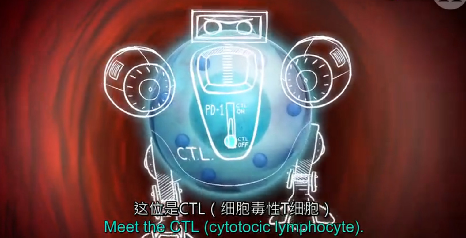 pd1肿瘤免疫治疗现状,什么是pd1免疫治疗费用