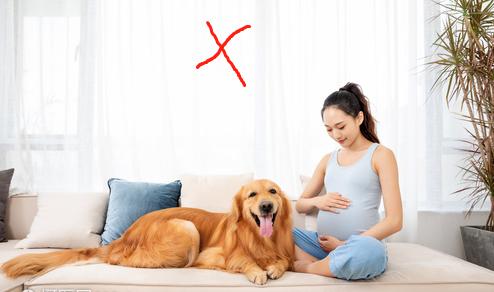 孕育冷知识大全,健康孕育知识点