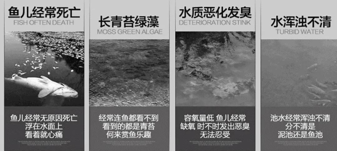 锦鲤鱼池传统过滤和智能过滤结合,锦鲤鱼池冬天到了要不要关过滤