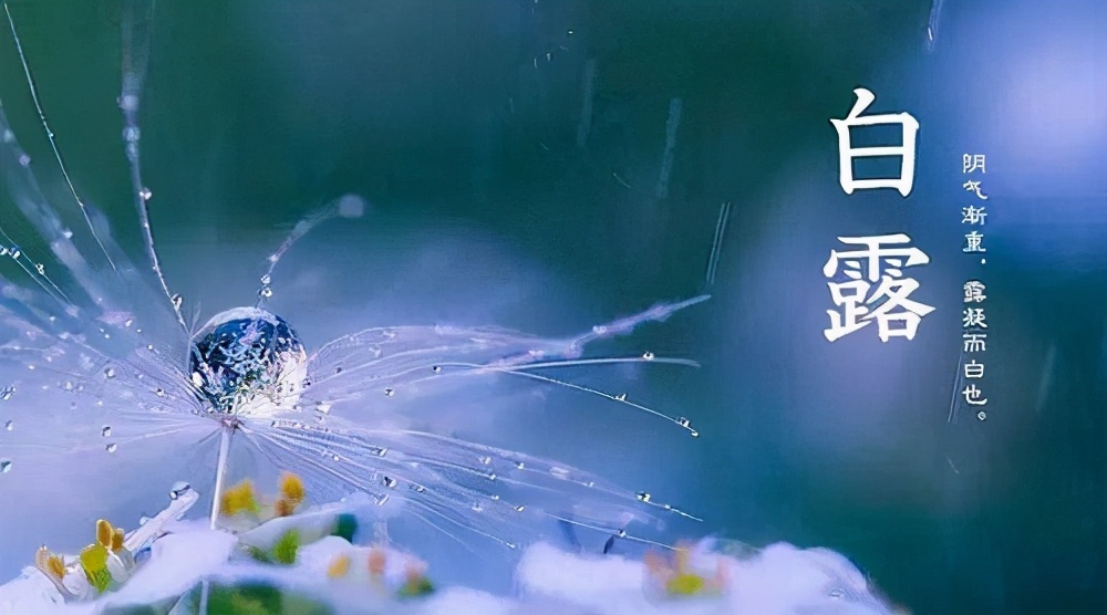 二十四节气白露高清图,二十四节气白露ppt