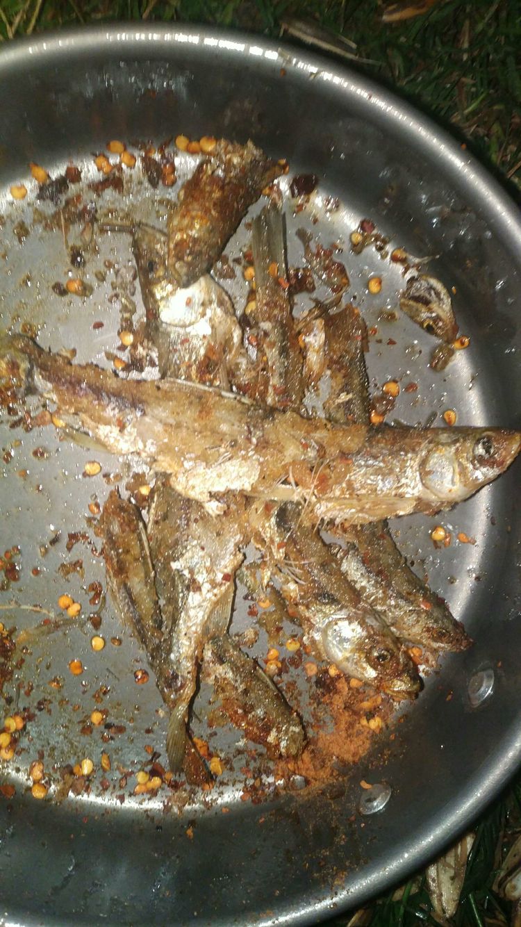 昆明周边露营野钓最佳地方,昆明周边风景优美的野钓地方