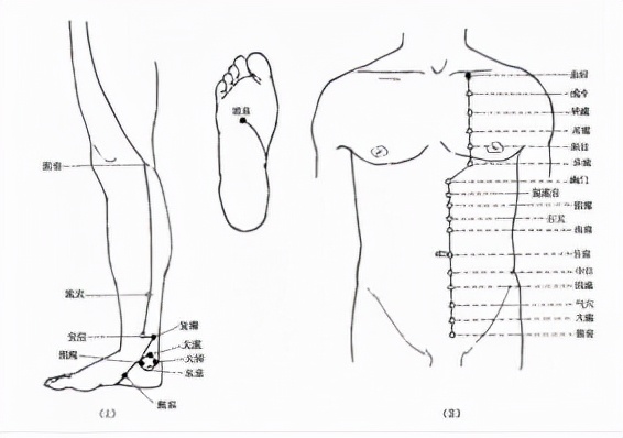 冬季精油使用指南