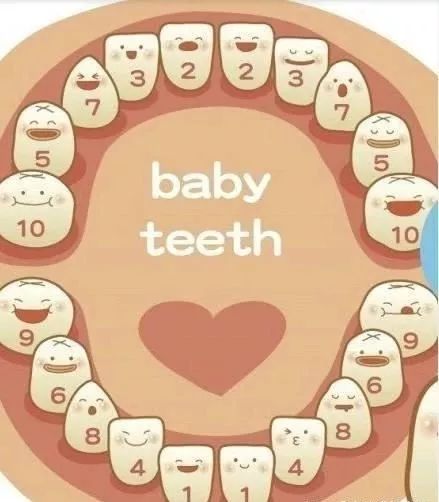 小孩九个月了还没长牙是钙不够吗,宝宝快九个月了还没长牙补哪些钙