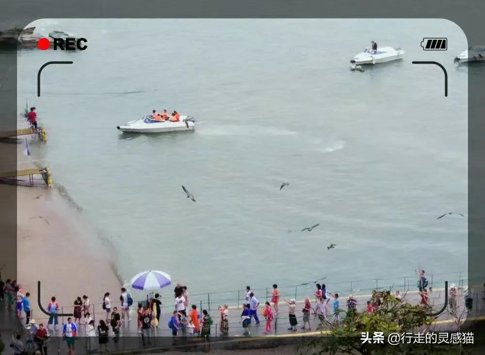 山东威海海驴岛攻略,山东海驴岛旅游攻略