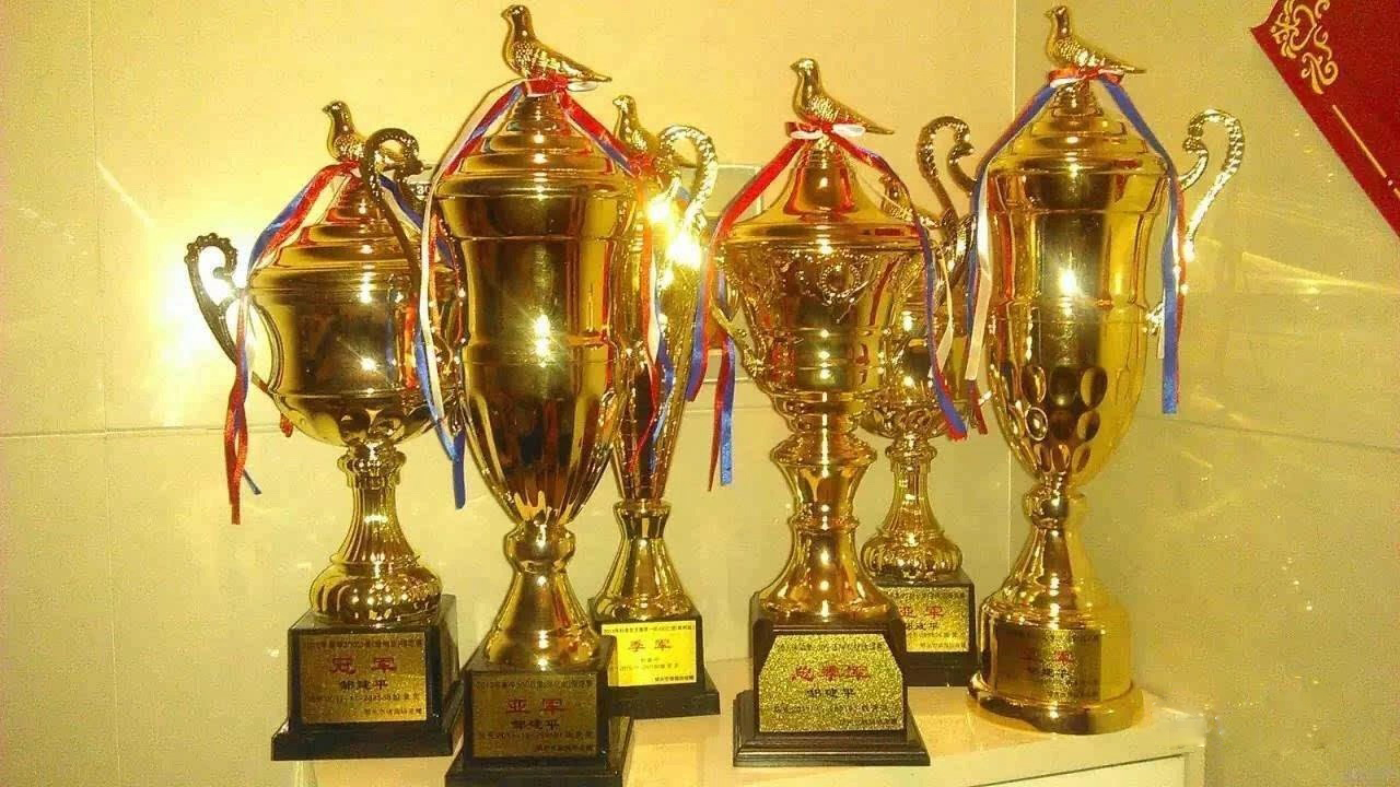 广东省男子篮球联赛东莞2022赛程,2015年番禺区村级篮球赛