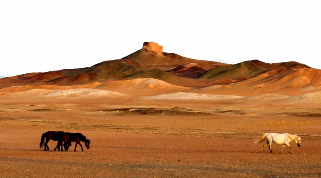 甘肃敦煌什么地方有沙金,敦煌莫高窟在甘肃的什么地方