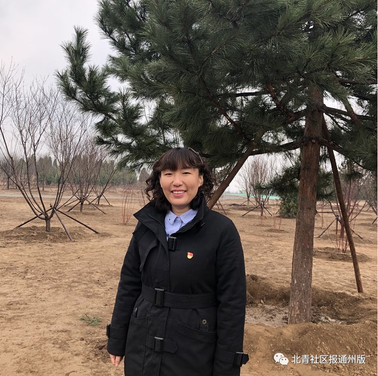 就是通州这5个人，和总书记一起植树了！听听他们都说了啥？