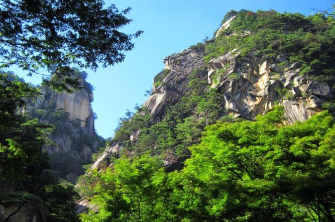 玩转日本,玩转日本自由行