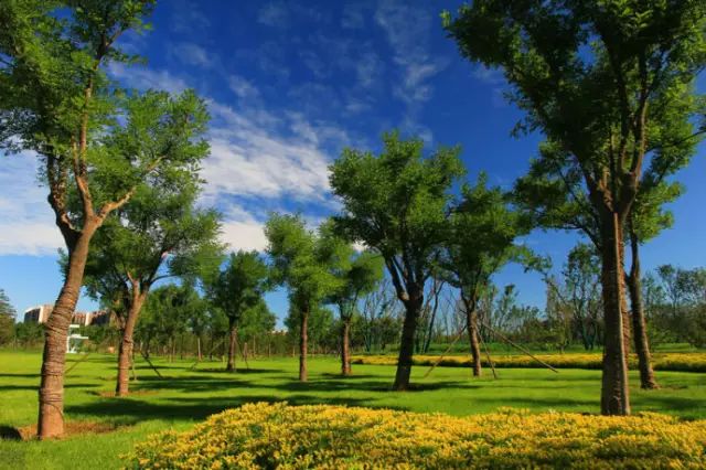 北京房山团建踏青地点推荐,北京房山春季旅游最佳去处
