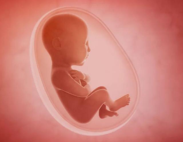 人工流掉的胎儿怎么处理,做人流手术后会影响胎儿吗