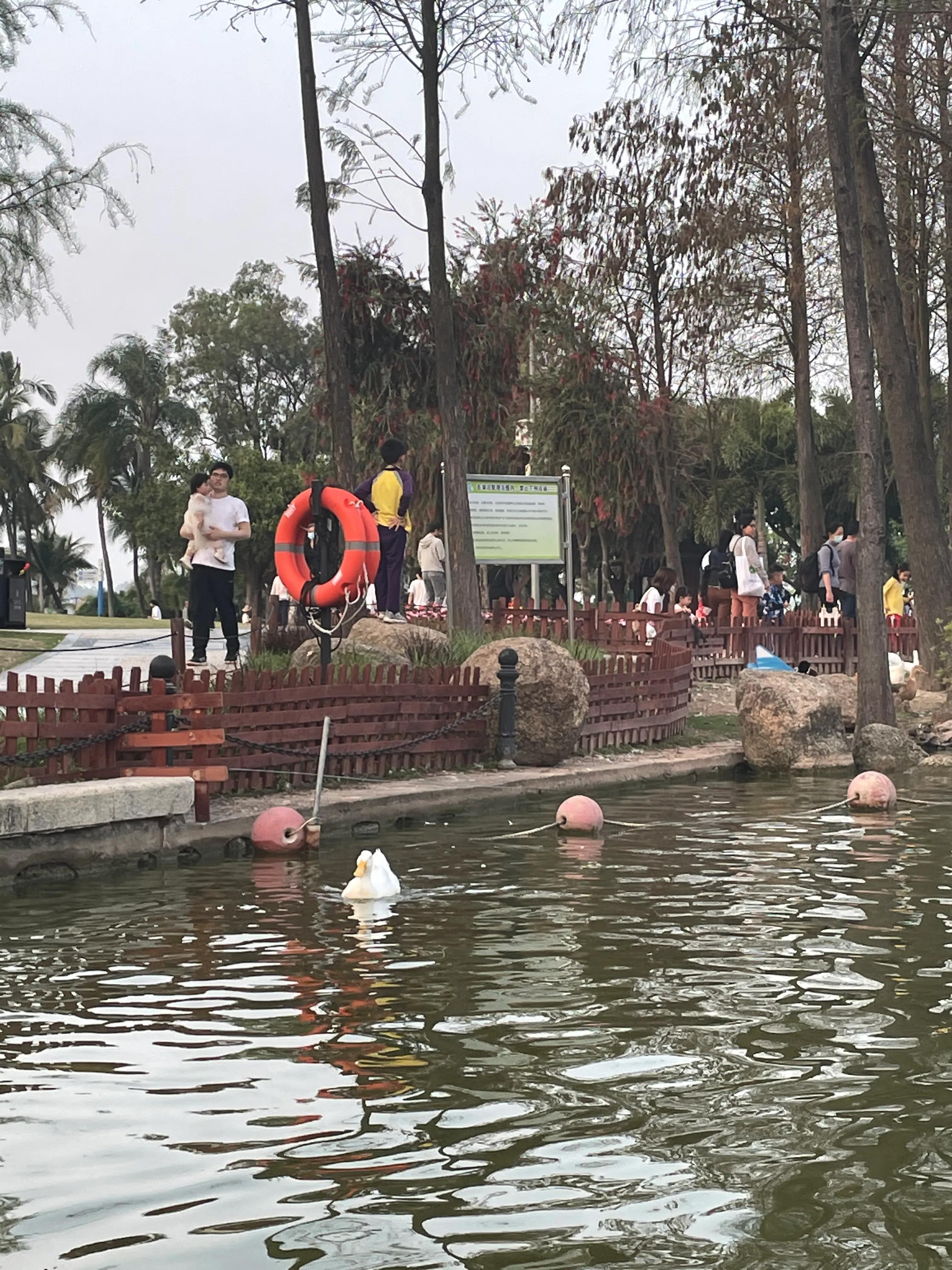 珠海适合情侣玩的浪漫景点,珠海附近浪漫的风景