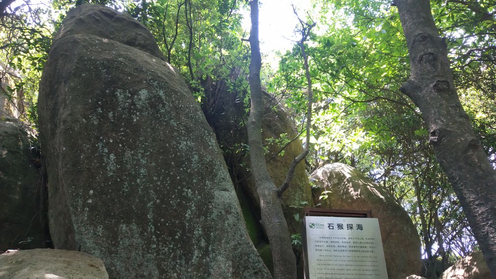 深圳羊台山风景区,深圳羊台山