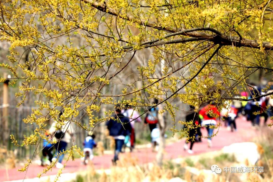 环翠景色,环翠美景