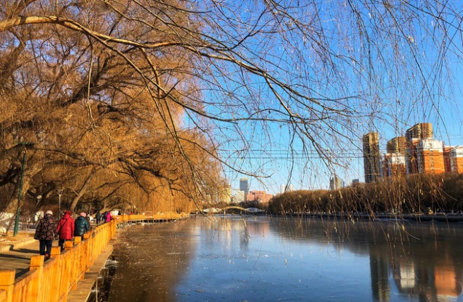 沈阳旅游攻略1天游玩路线,去沈阳都去哪里旅游好点