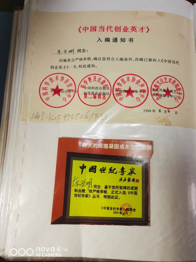 中州东一针——东兴明