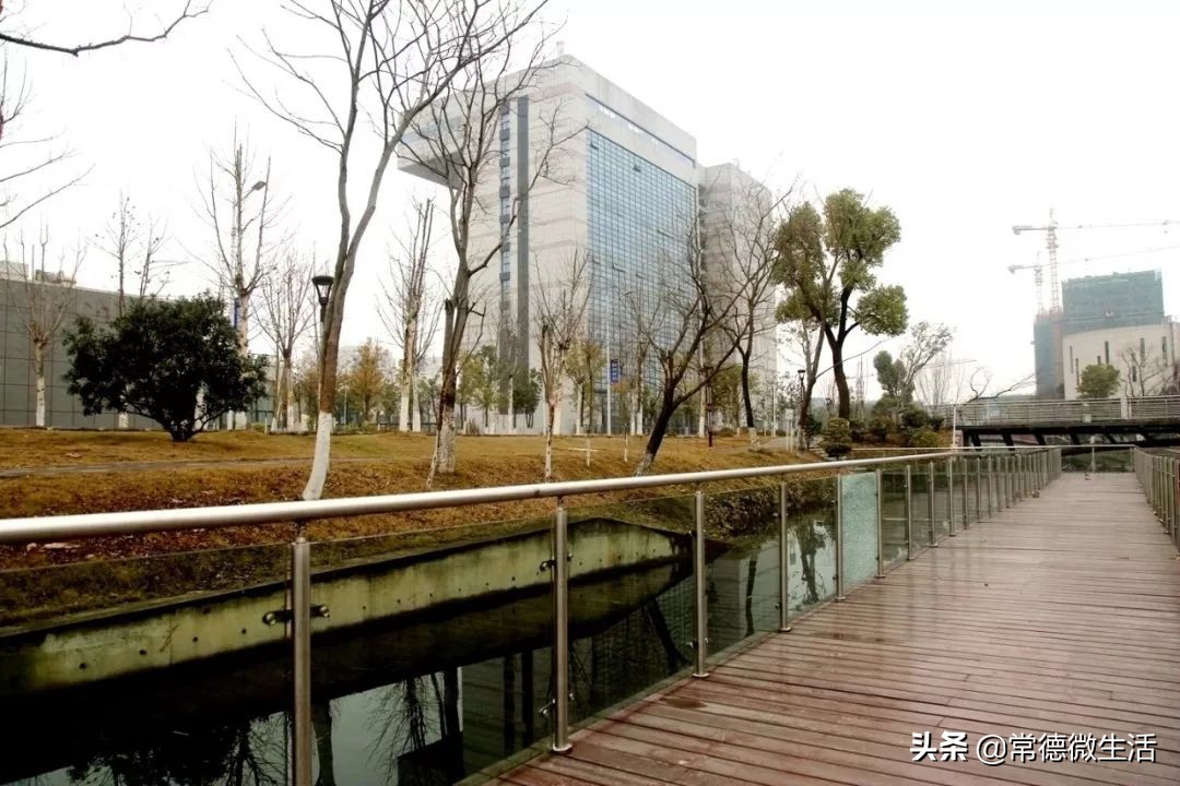 浏阳创业孵化基地在哪里申请,常德市创业孵化基地