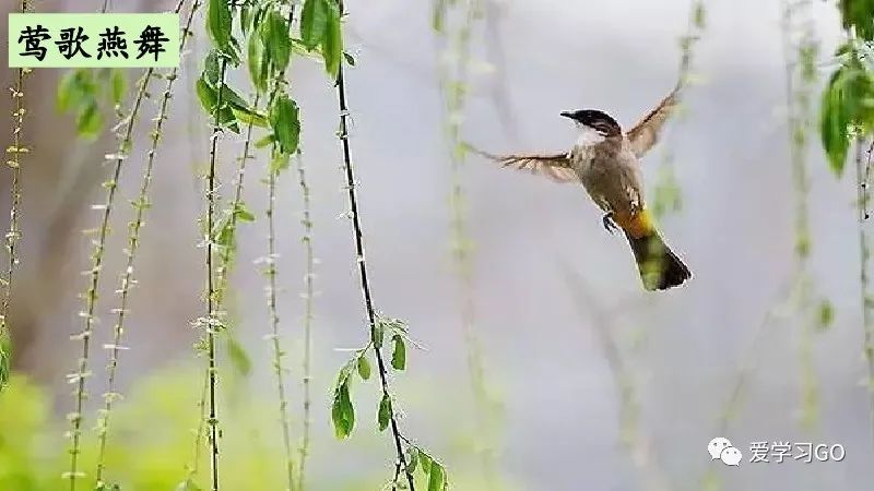 部编版二年级下册第25课《羿射九日》知识点+图文讲解