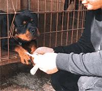 公安局旁边开理发店叫什么名字,在公安局旁边开理发店