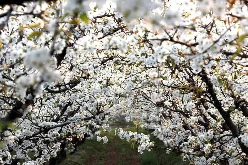 娆洪湝璧涢洩,娆洪洩璧涢湝