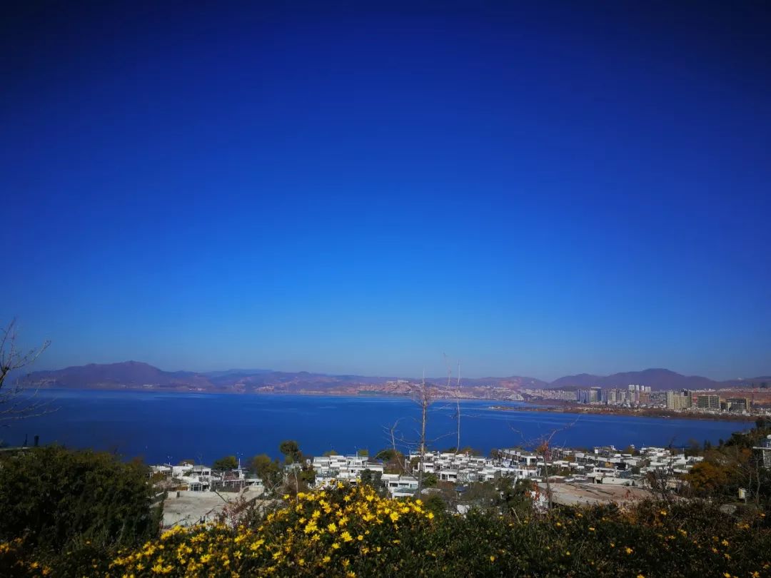 大理市房价会降价吗,现在大理房价涨还是跌