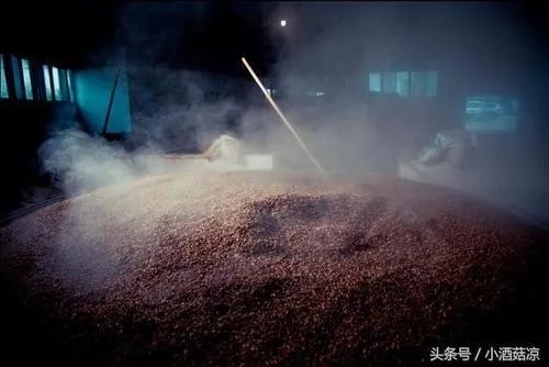 原浆酒的骗局是真的吗,原浆酒到底是不是骗局