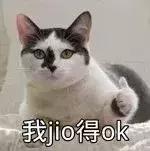 成都双流区天气14号,双流最近15天天气预报内容