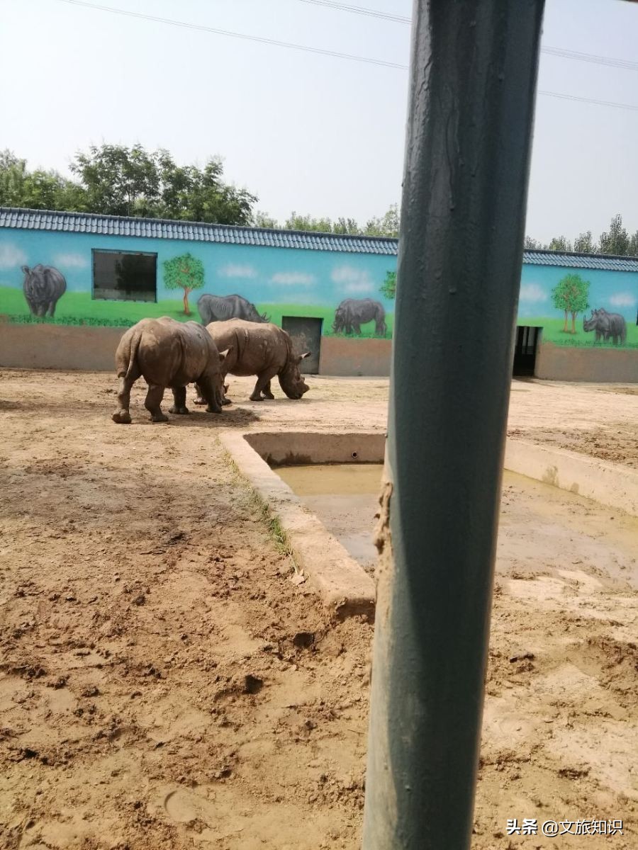 山东德州动植物园旅游区,德州市动植物园视频