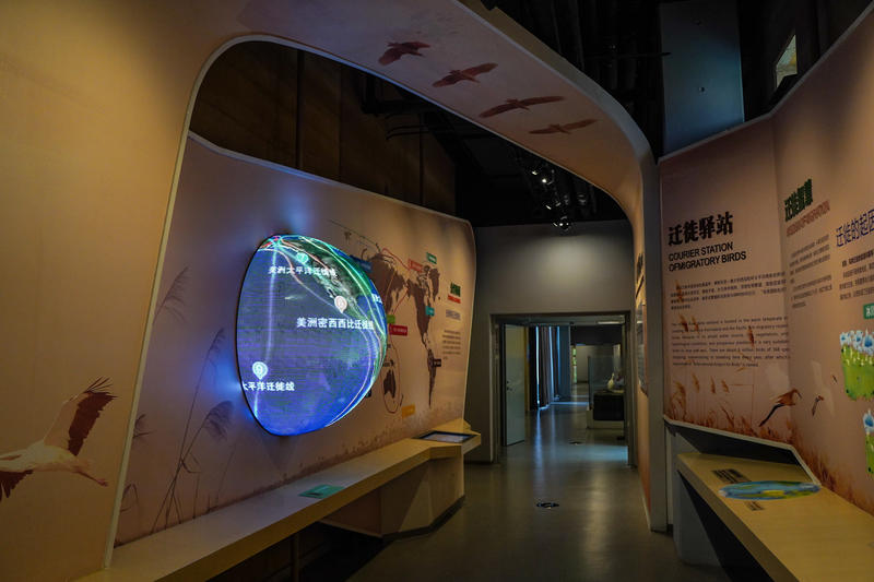 山东周边游2天1夜小众,5.1山东五日游