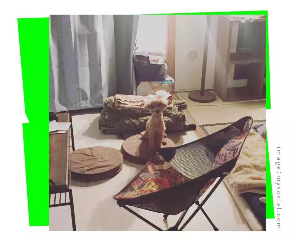 helinox户外折叠椅,便携椅helinox