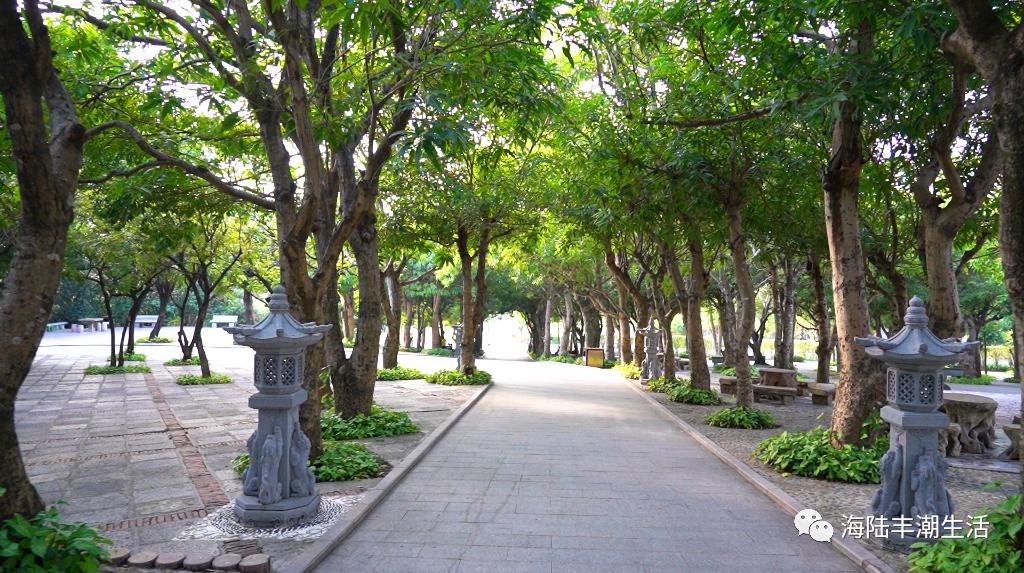 汕尾玄武山佛祖定位,汕尾玄武区