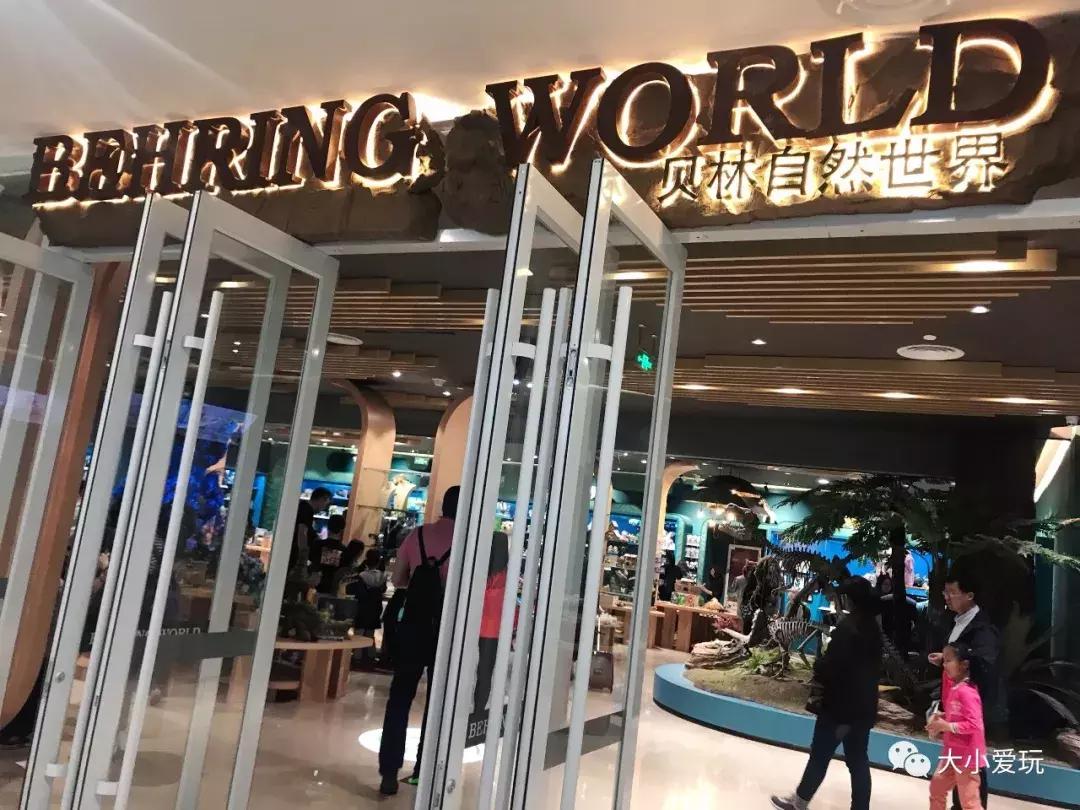 开放首日实探国家海洋博物馆，史上最抢手博物馆究竟长什么样